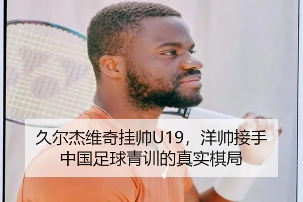 久尔杰维奇挂帅U19，洋帅接手中国足球青训的真实棋局 - AG